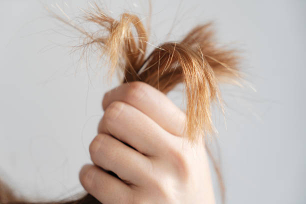 How do I take care of damaged hair?