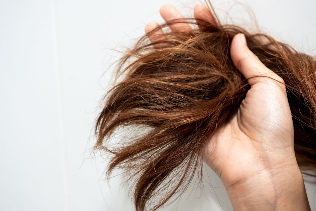 Sulfates and Silicones in Hair Care: Are They Really Bad for Your Hair?