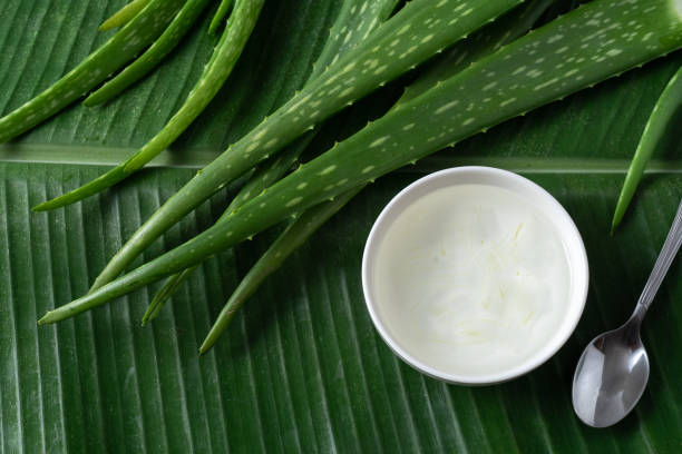 Aloe Vera, Panthenol, and Other Moisturizers for Hair Hydration: Essential Ingredients for Soft, Healthy Hair