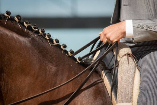 The Best Hair Care Tips for Horse Riders