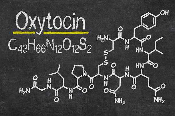 Oxytocin's Role in Promoting Hair Follicle Growth and Stress Regulation