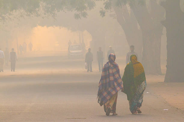 Pollution’s Effect on Hair and Scalp Health: Combatting Environmental Damage for Healthier Hair